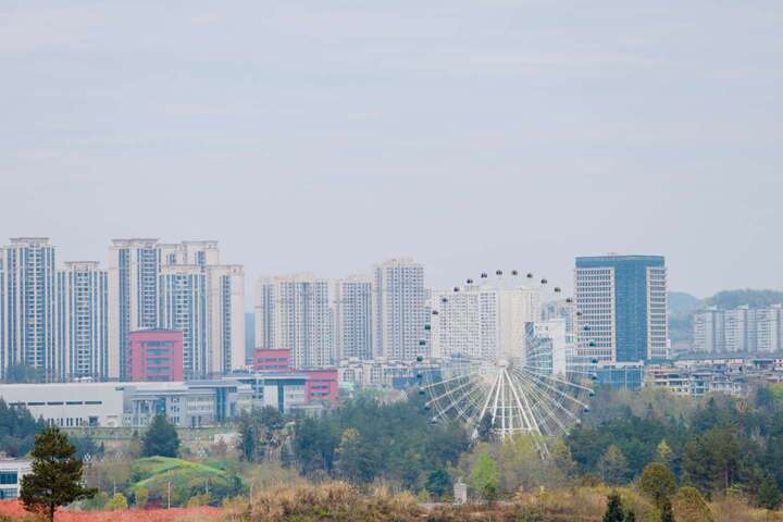 1779675002631_337.jpg